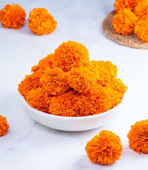 Orange Marigold