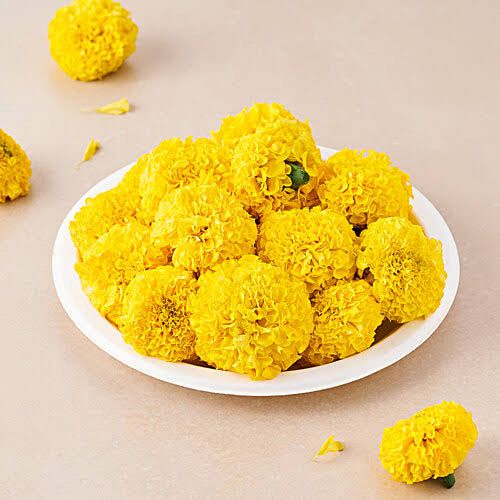 Yellow Marigold